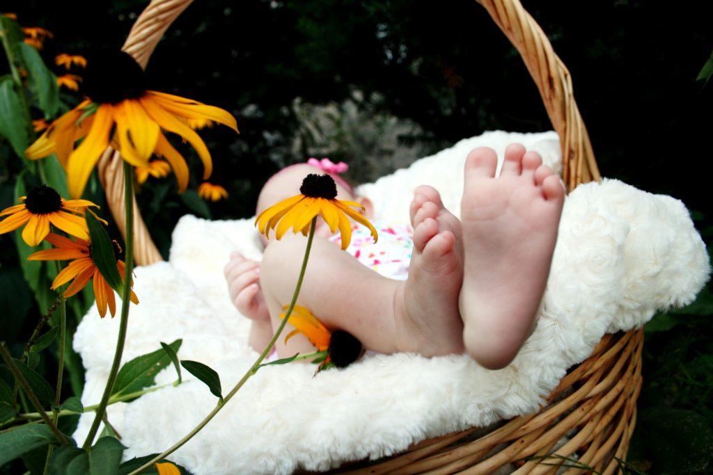 Baby in a floral basket