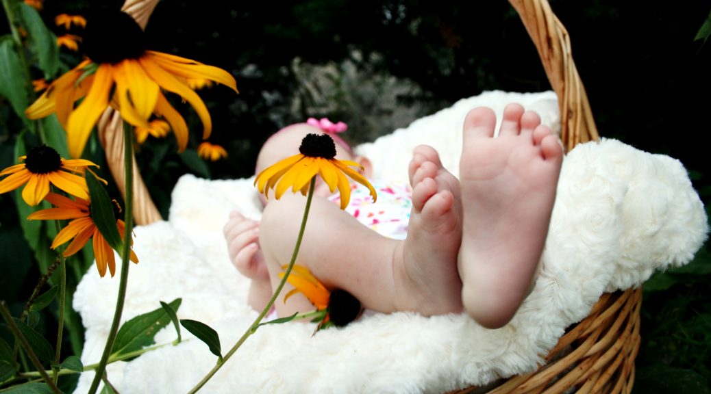 Baby in a floral basket